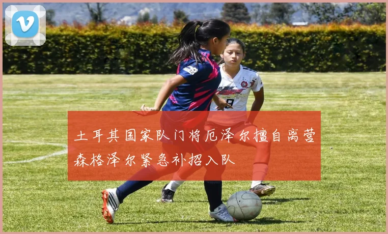 土耳其国家队门将厄泽尔擅自离营森格泽尔紧急补招入队