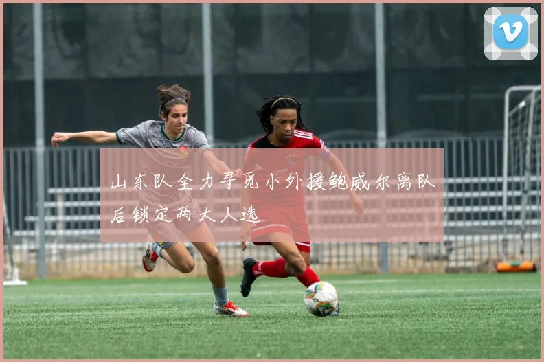 山东队全力寻觅小外援鲍威尔离队后锁定两大人选