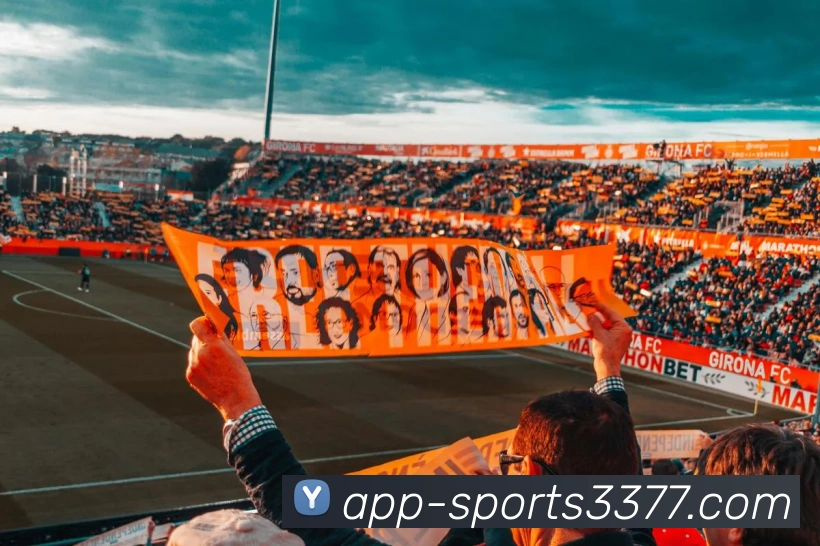 3377体育APP 封面图